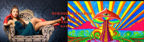 метамфетамин Заводоуковск
