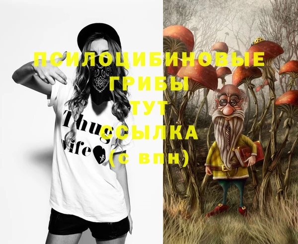 метамфетамин Заводоуковск