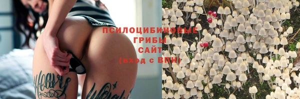 стаф Заволжск