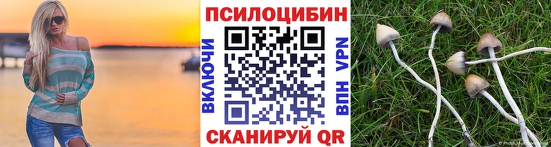 Купить где  Донецк  Псилоцибиновые грибы Psilocybe 
